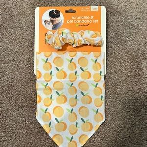 Scrunchie & pet bandana set